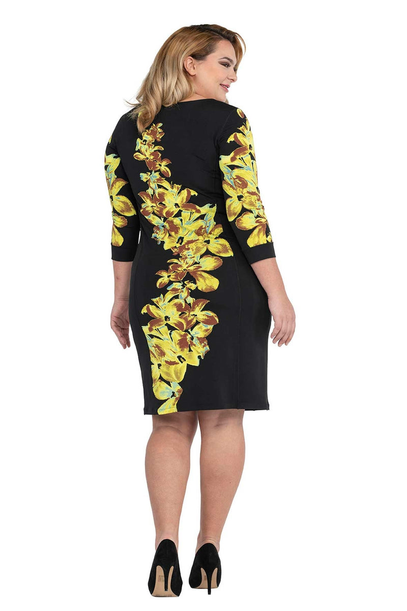 Plus Size Princess Seam Dress EvaVarro Plus Size Princess Seam Dress EvaVarro