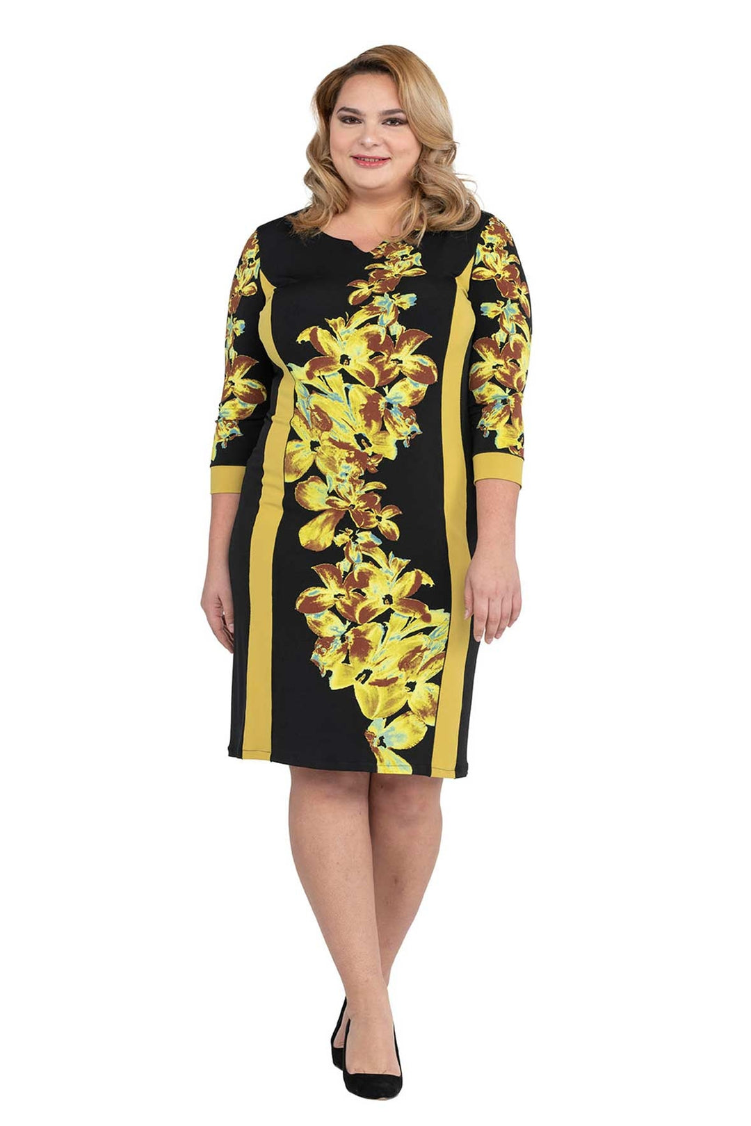 Plus Size Princess Seam Inserts Dress EvaVarro Plus Size Princess Seam Inserts Dress EvaVarro